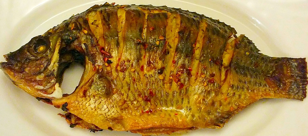 Fresh Fish on the Grill