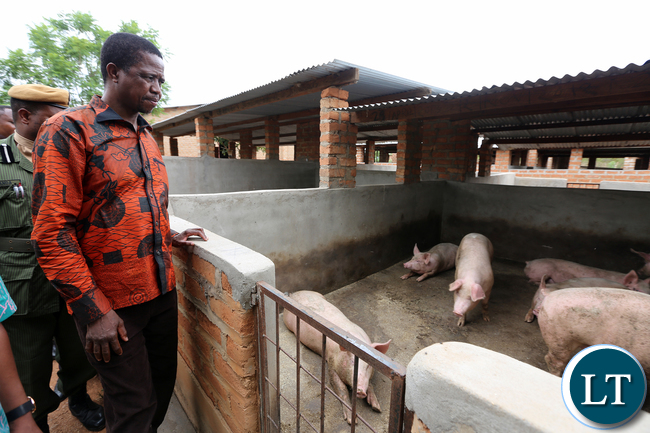 President Edgar Lungu tour Chief Macha farm in Choma on Wednesday 20-1-2016- Picture By Eddie Mwanaleza/statehouse.