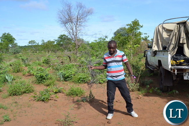 Livingstone based vet officer Dr. Jackson Katampi