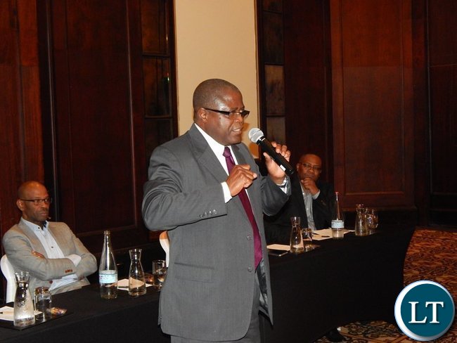 Mines Minister Mr. Christopher Yaluma speaks at the meeting with Zambians in Cape Town on 9th February, 2016