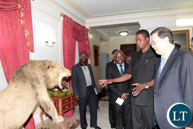 President Edgar Lungu Shows Chairman of the Standing Committee of the National Peoples Congress of China Mr Zhang Dejiang a lion after courtesy call at State House yesterday. !9-03-2016. Picture by ROYD SIBAJENE/ZANIS