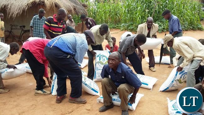 Some people of Lundazi sharing 165 bags of mealie meal distributed by Lundazi businessman Evans Kazonga Ngoma over the weekend.