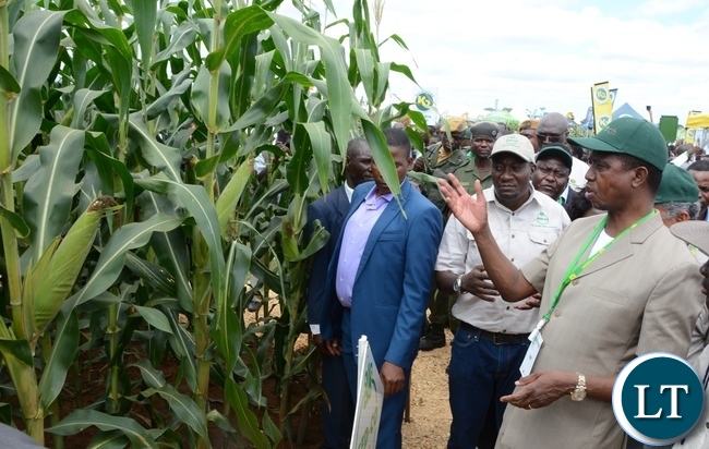 President Lungu looks the field of maize during the Agritech Expo 2016 in Chisamba Central Province