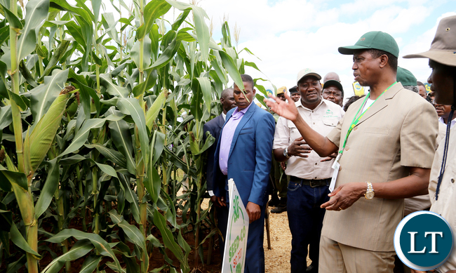 President Edgar Lungu on tour of stands at SEEDCO Maize Field during Agrictech Expo in Chisamba with the visiting Czech Republic agric Minister Mr Marian Jurecja and Minister Given Lubinda at Agrictech Expo in at GART Research Centre in Chisamba on Friday- PICTURE BY EDDIE MWANALEZA/STATEHOUSE.