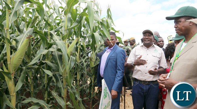 President Edgar Lungu on tour of stands at SEEDCO Maize Field during Agrictech Expo in Chisamba with the visiting Czech Republic agric Minister Mr Marian Jurecja and Minister Given Lubinda at Agrictech Expo in at GART Research Centre in Chisamba on Friday- PICTURE BY EDDIE MWANALEZA/STATEHOUSE.
