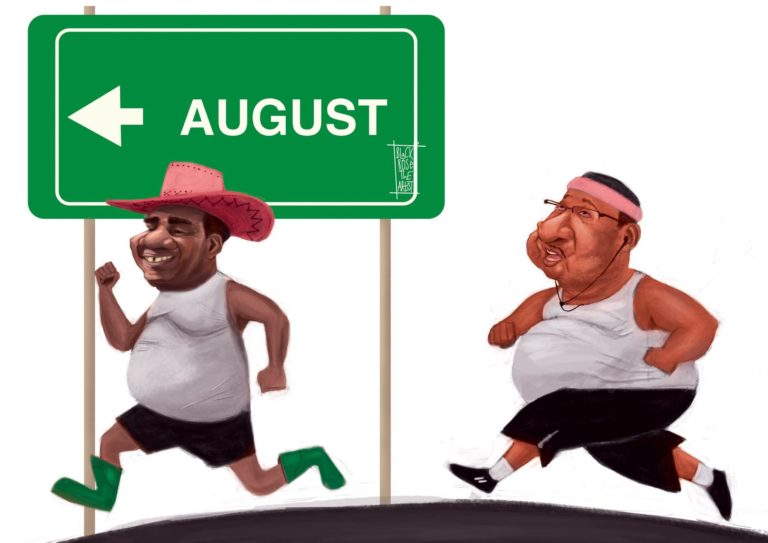 caricature of HH and GBM : “Fit Running Mate?”