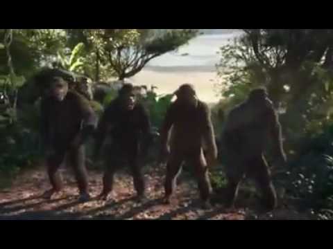 Dununa Reverse the Jungle  Version