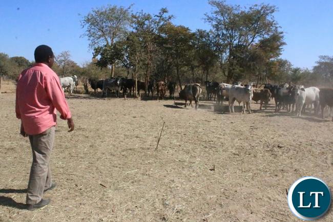 HH visists one of his livestock farms at the village