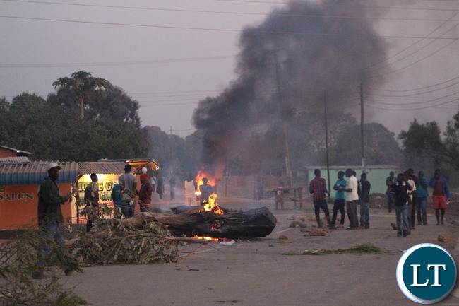 logs of wood placed by UPND cadres during a protest