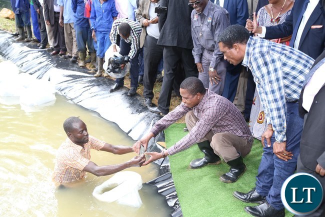 President Edgar Lungu flanked by Livestock and fisheries Minister Michael Katambo samples the fish during the restocking of fingerlings at the State Lodge Ponds in lusaka