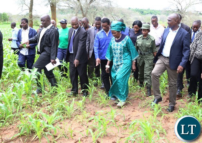 Vice President Mrs Inonge Mutukwa Wina flanked by Lusaka Province Minister Japhen Mwakalombe (r) during the tour of fields affected with Army worms in Chongwe District