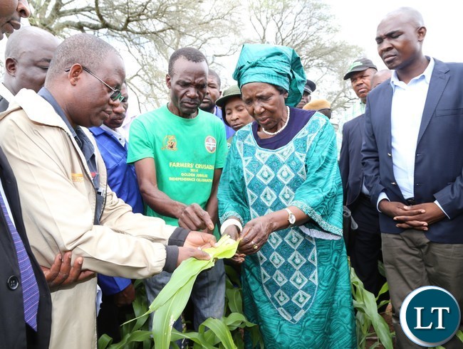 Vice President Mrs Inonge Mutukwa Wina flanked by Lusaka Province Minister Japhen Mwakalombe (r) being explained by Headman Gibson siti (l) during the tour of fields affected with Army worms in Chongwe District
