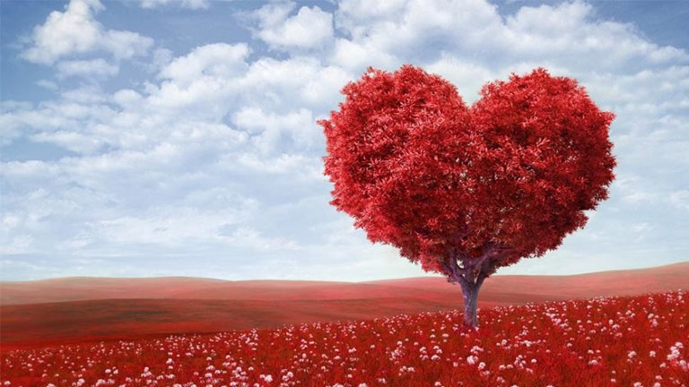 Revolution Based On The Christian Spirit Of ST Valentine