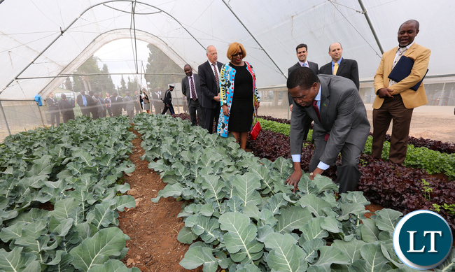 President Lungu on tours of the Reach and development of Netafim in Kibbutz Magal in Israel