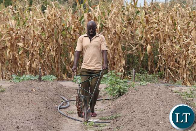 Farmer practicing conservation agriculture