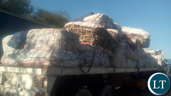 SOME Trucks loaded with fresh fish impounded at Kasungula border post.