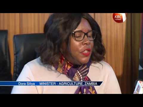 Kenya signs maize importation deal with Zambia