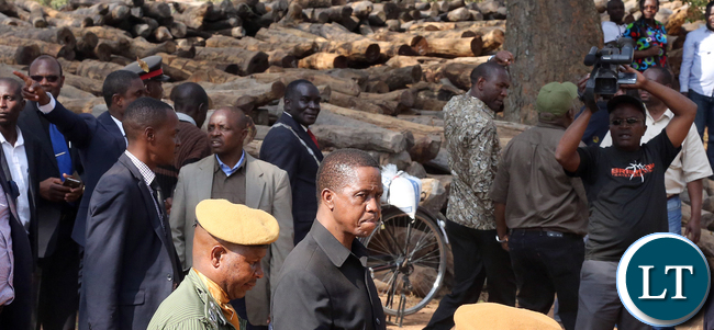 President Edgar Lungu inspects Mukula tree recovered By ZambiaNational Services officers at Lwanshimba Camp in Northern Provinc