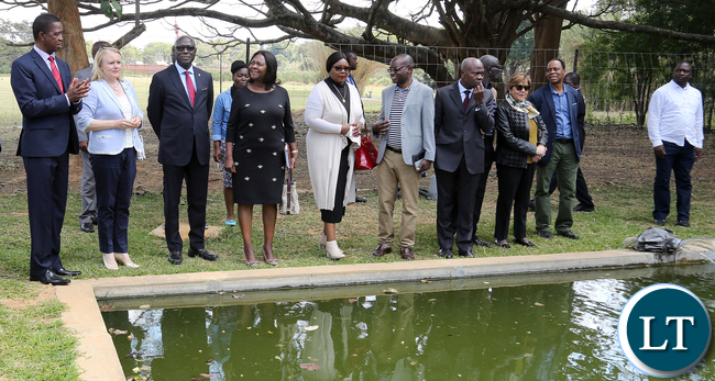 President Edgar Lungu with IFAD President Mr Gilbert Houngbo and Ms Janet Rogan UN Resident Coordinator tour State house fish farm project