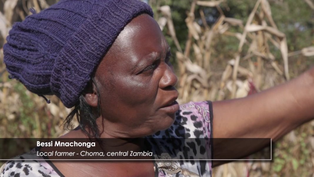 Saving our grasslands and boosting farmers’ income