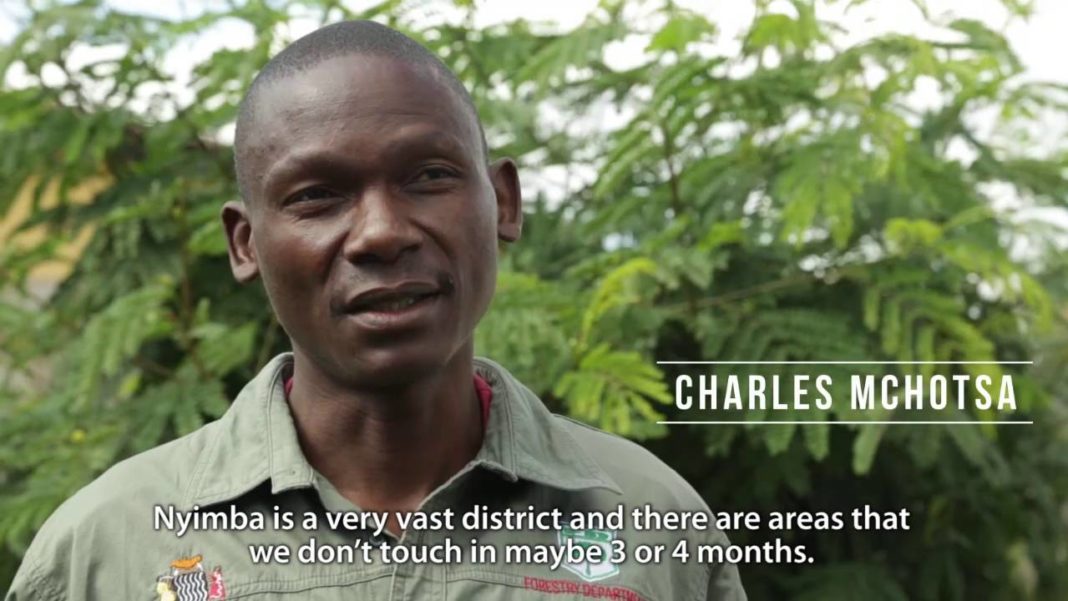 The State of Charcoal Production in Zambia