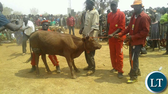 Lwiindi Lwa Chuungu traditional ceremony