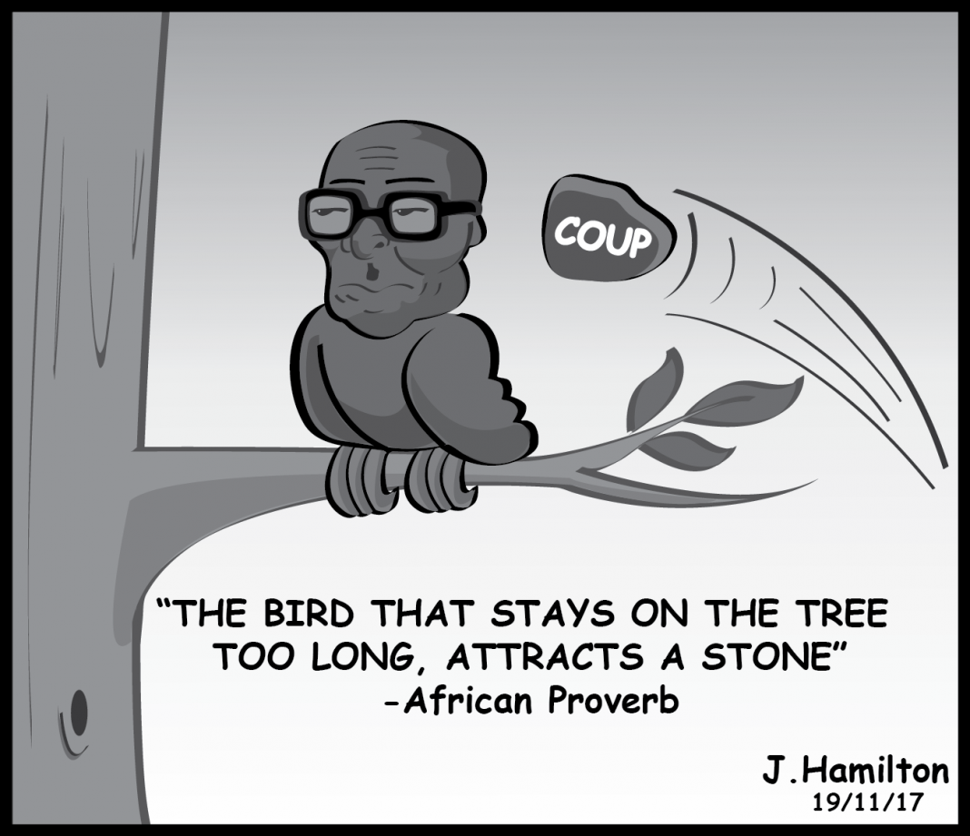 satire: Zimbabwe Coup