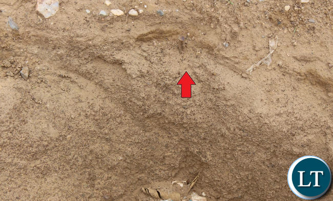 The photos show a site visit to John Liang by Investigation Officers from the Office of the Public Protector as evidence of demarcations and beacons placed in the said portion of the road. The photos show a site visit to John Liang by Investigation Officers from the Office of the Public Protector as evidence of demarcations and beacons placed in the said portion of the road.