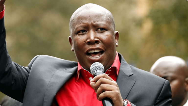 ANC backs call to take back white-owned land without compensation