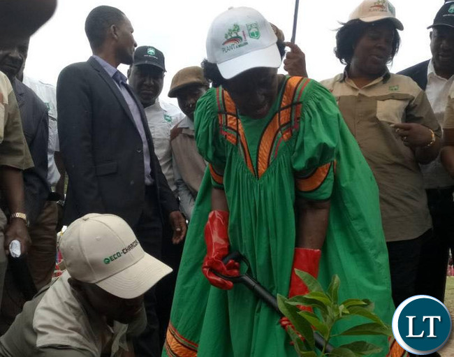 Vice President Inonge Wina launches the national tree planting season 2017/2018