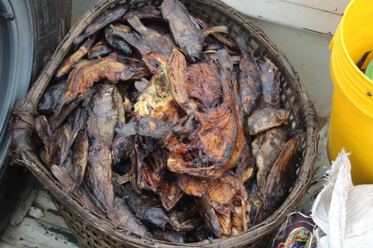 Over 670 kg of fish seized in joint fish ban operation
