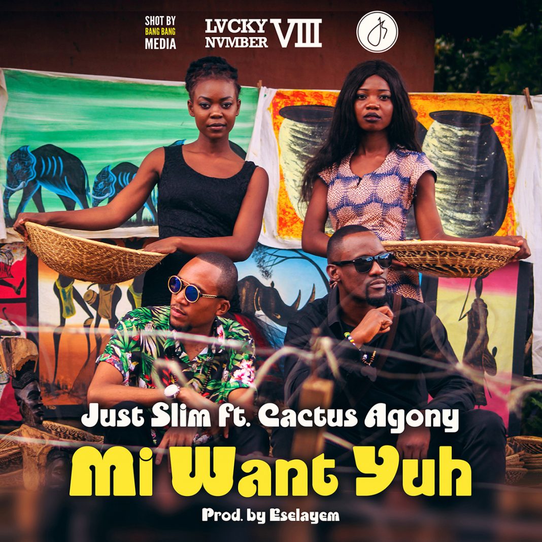 Just Slim and Cactus Agony set to release Mi Want Yuh