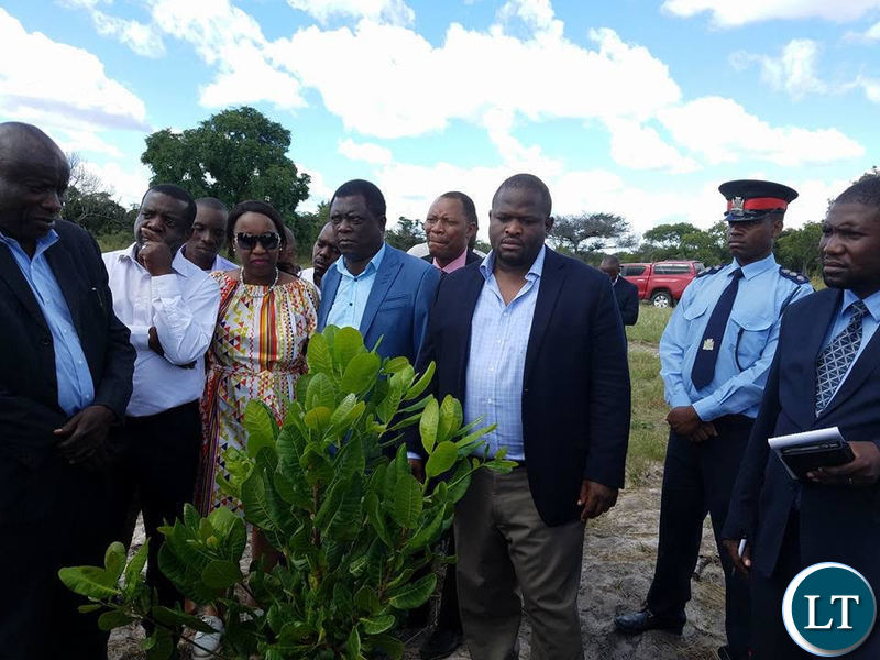 National Planning and Development Minister Alexander Chiteme inspects a cashew unit field looks in western province