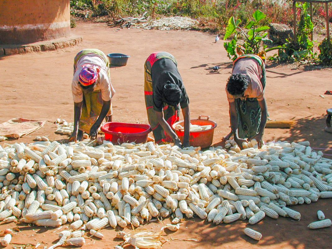 COVID-19 Presents More Challenges than Opportunities for Zambia’s Agro-Value Chain-CTPD