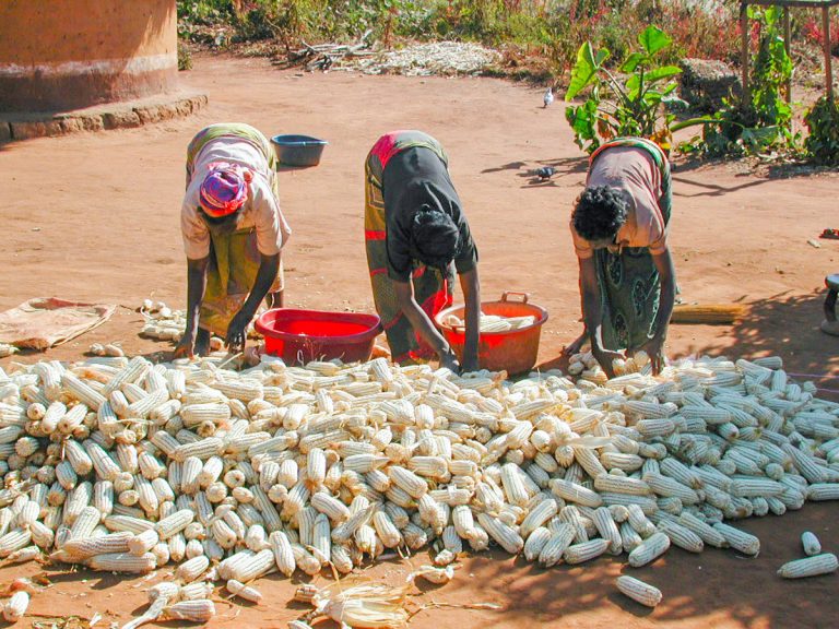 COVID-19 Presents More Challenges than Opportunities for Zambia’s Agro-Value Chain-CTPD