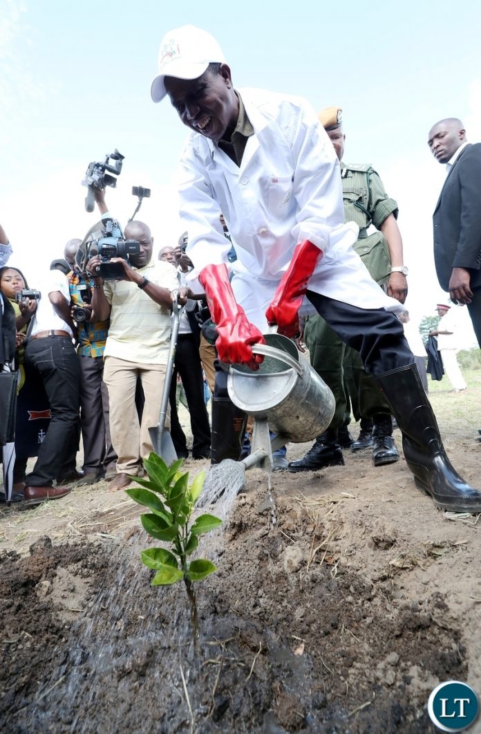 President Mr Edgar Chagwa Lungu in Chinsali District of Muchinga Province where he launched THE ZAMBIA PLANT A MILLION TREES initiative under the theme: Growing Money from Trees at Kapasa Makasa University on Monday, 30th April, 2018. While in the Province the Head of State held a series of Meetings with government officials and Party Functionaries. The Head of State was accompanied by Hon. Freedom Sikazwe Presidential affairs Minister, Hon. Jean Kapata Minister of Lands and Natural Resources, Hon. Nkandu Luo Minister of Higher Education, Home Affairs Minister Hon. Stephen Kampyongo, Hon. Victoria Kalima Minister of Gender, Hon. Makebi Zulu Eastern Province Minister. Pictures by Eddie Mwanaleza/State House