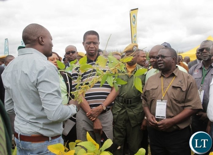 President EdgarLungu being shown some soya beans by SEEDCO Head of marketing Brian Mhango at the 5th Agriculture Expo in Chisamba President EdgarLungu being shown some soya beans by SEEDCO Head of marketing Brian Mhango at the 5th Agriculture Expo in Chisamba