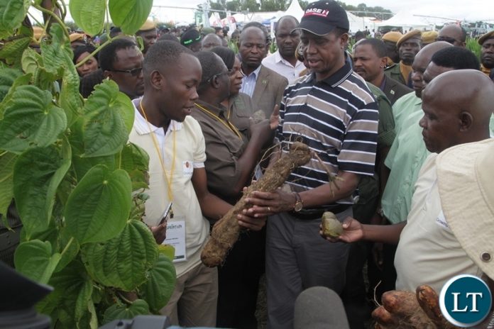 President EdgarLungu is given an organic yam by Monkey Orange crafts Executive Director Michael Mwandila at the 5th Agriculture Expo in Chisamba