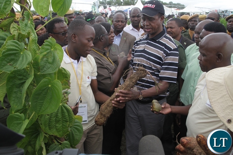 President EdgarLungu is given an organic yam by Monkey Orange crafts Executive Director Michael Mwandila at the 5th Agriculture Expo in Chisamba