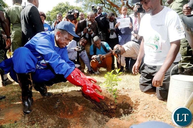 President Edgar Chagwa Lungu (left) plants a lemon tree as Forest Director Ignatius Makumba looks on, at Chakunkula Basic School during the ''Zambia plant a Million Trees Initiative and Keep Zambia Clean, Green and Healthy'' event in Lusaka on Saturday, May 26, 2018. PICTURE BY SALIM HENRY/STATE HOUSE ©2018