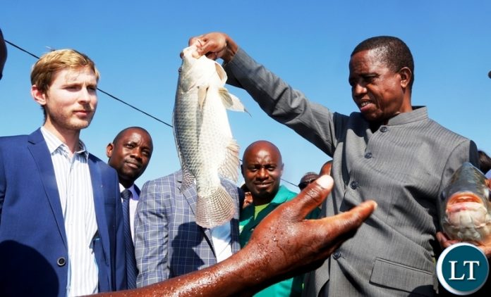 PRESIDENT LUNGU COMMISIONS ALE AQUA FISH FEED PLANT 1. President Edgar Chagwa Lungu (right) at Yalelo hatchery holding a three-year old male broodstock after Commissioning the Ale Aqua Fish Feed Plant in Siavonga District, Southern Province on Wednesday,May 30,2018 PICTURE BY SALIM HENRY/STATE HOUSE ©2018