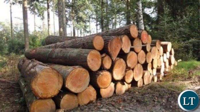 Mukula Logs
