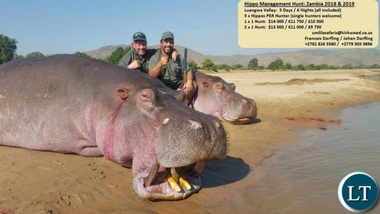 Sinkamba appeals to Catholics countrywide to stop PF from culling 2000 hippos