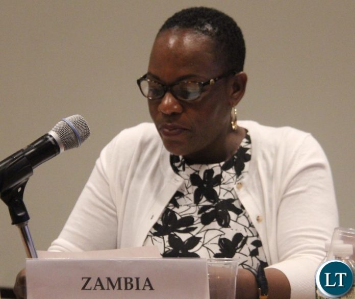 Ms Christine Kalamwina, Deputy Permanent Representative to the United Nations (UN).