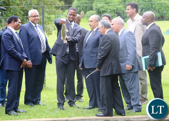 President Lungu and Egyptian Minister of Agriculture and Land Reclamation Prof. Dr. Ezzaldin O. Abusteit during the tour of the fish ponds at State House