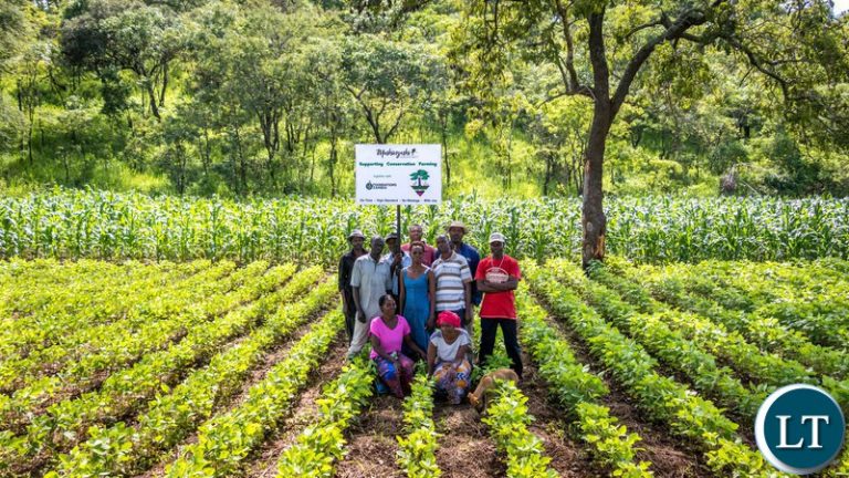 One Acre Fund Zambia to help 16, 000 farmers with agriculture skills