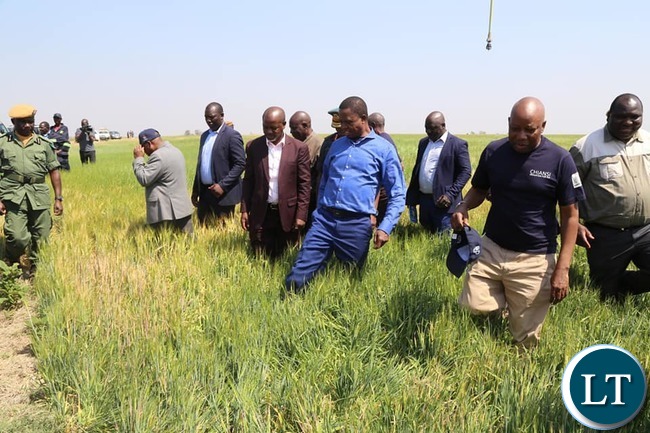 President Lungu at the ground breaking ceremony to mark the beginning of construction works on the Chiansi irrigation project in Chanyanya