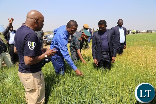 President Lungu at the ground breaking ceremony to mark the beginning of construction works on the Chiansi irrigation project in Chanyanya