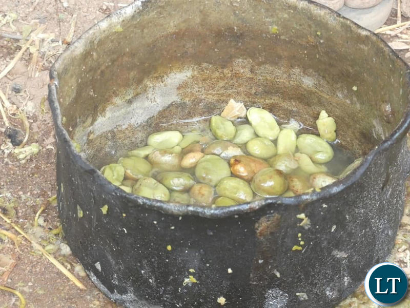 A pot of Baobab fruits being prepared for a meal