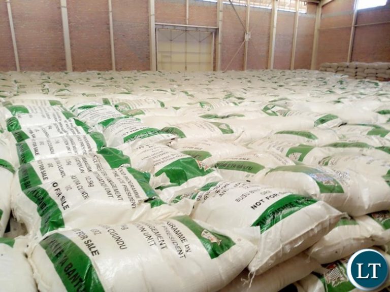 Distribution of mealie meal in Chilubi ahead of by-elections concerns GEARS